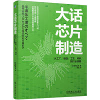大话芯片制造：从工厂、制造、工艺、材料到行业战略      [日]菊地正典