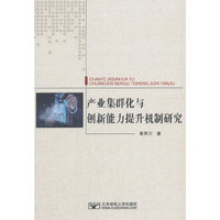 产业集群化与创新能力提升机制研究