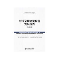 中国文化消费投资发展报告（2020）