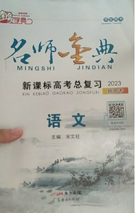名师金典，新课标高考总复习 语文