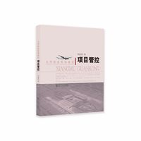 大型枢纽机场建设项目管控（业主角度项目管理丛书）
