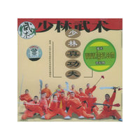 少林真功夫(VCD)