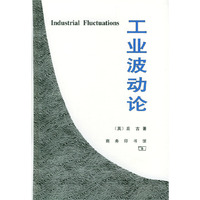 工业波动论