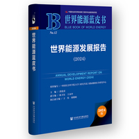 世界能源蓝皮书:世界能源发展报告（2024）