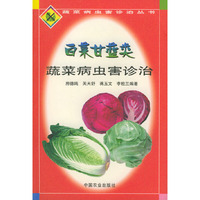 白菜甘蓝蔬菜病虫害诊治——蔬菜病虫害诊治丛书