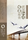 武汉和谐发展报告