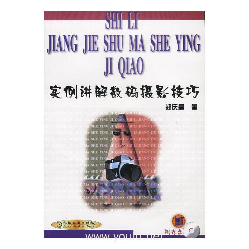 实例讲解数码摄影技巧(含1CD)