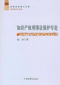 知识产权刑事法保护专论