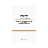 融智融资：中国投资咨询案例