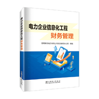 电力企业信息化工程财务管理