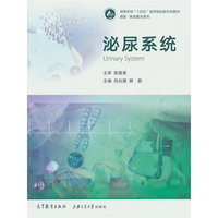 泌尿系统