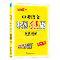 中考语文小题狂做   阅读理解  提优版