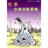 化学中考训练策略