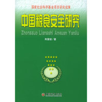 中国粮食安全研究