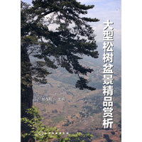 大型松树盆景精品赏析