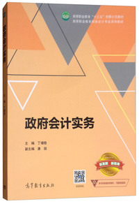 政府会计实务/高等职业教育财务会计专业系列教材