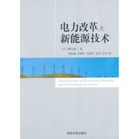 电力改革及新能源技术