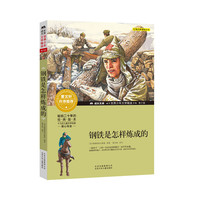 成长文库-世界少年文学精选-青少版-钢铁是怎样炼成的