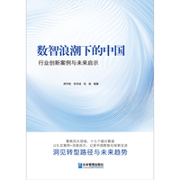 数智浪潮下的中国：行业创新案例与未来启示