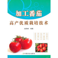 加工番茄高产优质栽培技术