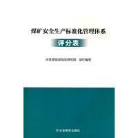 煤矿安全生产标准化管理体系 评分表