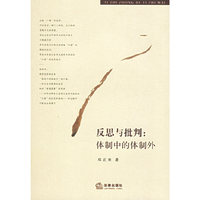 反思与批判:体制中的体制外