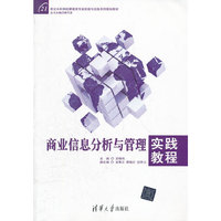商业信息分析与管理实践教程（21世纪本科财经管理类专业实验与实践系列规划教材）
