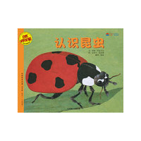 认识昆虫