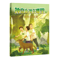 神奇小孩在哪里-消失的航班