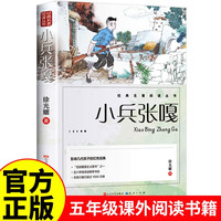 小兵张嘎