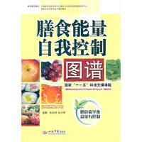 膳食能量自我控制图谱