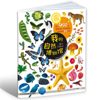 颜色-我的自然博物馆