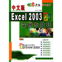 中文版Excel2003实例与技巧
