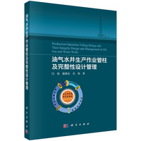 油气水井生产作业管柱及完整性设计管理