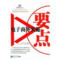 电子商务实施要点/管理要点丛书