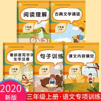 2020秋语文专项训练三年级上册共5本小学阅读理解句子训练课文内容填空古典文学诵读全套同步练习作业看拼音写词语生字人教版