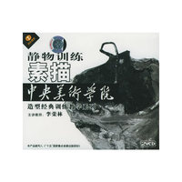 静物训练素描中央美术学院徒刑经典训练教学系列(VCD)