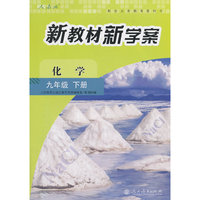化学 九年级 下册 新教材新学案