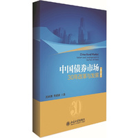 中国债券市场-30年改革与发展-(第二版)