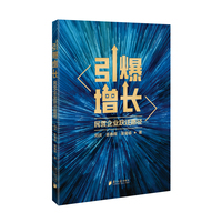 引爆增长：民营企业跃迁路径