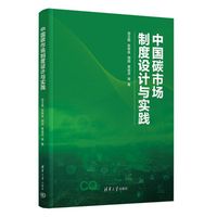 中国碳市场制度设计与实践