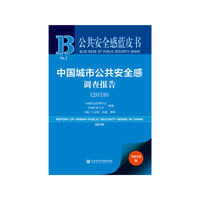 公共安全感蓝皮书：中国城市公共安全感调查报告（2019）