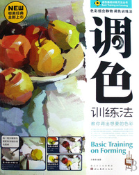 调色训练法/造型基础训练方法丛书