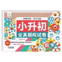 小升初全真模拟试卷新版数学全套小学毕业升学小升初全真模拟试卷精选分类卷六年级下册试卷测试卷全套人教版总复习必刷题专项训练