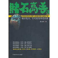 赌石高手-3-完结篇
