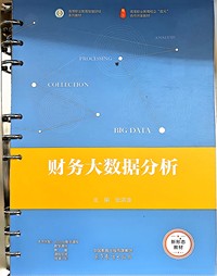 财务大数据分析