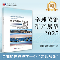 全球关键矿产展望2025