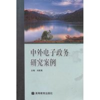 中外电子政务研究案例