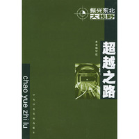 振兴东北大视野：超越之路——东北振兴书系