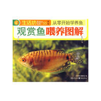 观赏鱼喂养图解